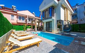 Gelincik Fethiye